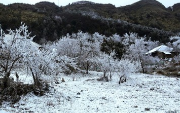 Không khí lạnh suy yếu, miền Bắc vẫn chìm trong rét đậm