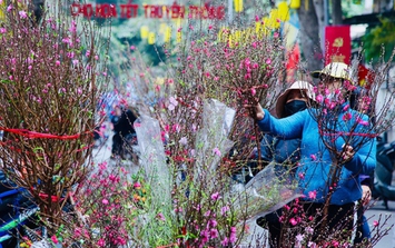 Thời tiết dịp Tết Nguyên đán Bính Ngọ 2026 mới nhất: Xuất hiện yếu tố gây bất lợi cho các kế hoạch ngày Tết