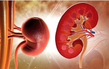 Thực phẩm bổ dưỡng được ví 'siêu thực phẩm' nhưng người bệnh suy thận cần biết điều này khi ăn