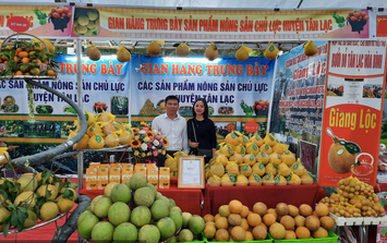 Thành phố Hà Nội tổ chức Lễ hội, Hội chợ Xuân Bính Ngọ 2026 quy mô như thế nào?