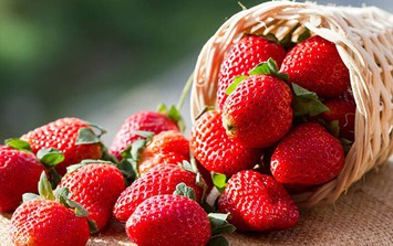 Ăn thực phẩm này để giảm ho có đờm 