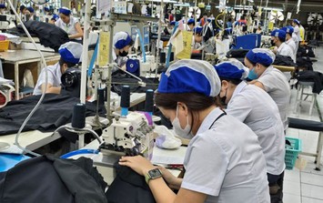 Tin sáng 16/10: Tuổi nghỉ hưu năm 2027 là bao nhiêu? Những khu vực nào của Hà Nội sẽ ưu tiên cắt tỉa, dịch chuyển bớt cây hoa sữa?
