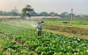 Tiểu thương chợ truyền thống Hà Nội lên sàn, có mã định danh, được Thành phố bảo trợ
