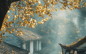 Tháng sinh Âm lịch của người khó bị lu mờ: Đi đến đâu cũng dễ trở thành tâm điểm