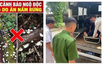 Ăn nấm dại hái trong rừng, 9 người ở Lai Châu nghi ngộ độc