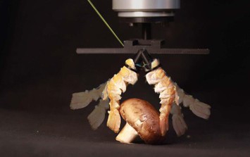 Độc lạ robot: Từ "lai" sinh học đến "da" điện tử