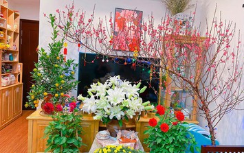 Bật mí kiểu trang trí nhà cửa đón Tết 2026 rực rỡ