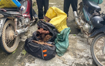 Chặn đứng vụ vận chuyển trái phép loại gỗ rừng có giá trị dược liệu bỗng 'sốt giá' gần đây