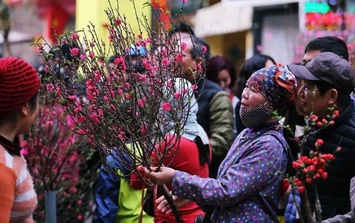 Chi tiết thời tiết dịp Tết Nguyên Đán Bính Ngọ từ 20 tháng Chạp đến mùng 6 Tết: Biến động mạnh, rét đậm rét hại bao trùm