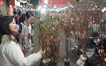 Chợ hoa Xuân Phố cổ 2026 bừng sắc giữa lòng Hà Nội