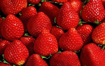 Thực phẩm được khuyến khích cho người chạy thận