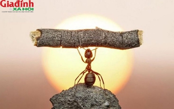 4 câu 'thần chú' giúp bạn vượt qua khó khăn trong cuộc sống: Khi bế tắc chỉ cần nhớ những điều này