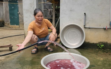 Phạt trang trại nuôi lợn hơn 400 triệu đồng vì xả thải vượt quy chuẩn