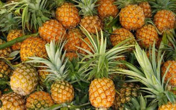 Công dụng thần kỳ của vỏ dứa khử mùi, làm sạch bạn nên biết