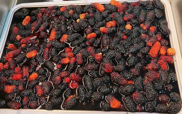 Cách ngâm dâu tằm để lâu không mốc hỏng và lên men cho mùa hè