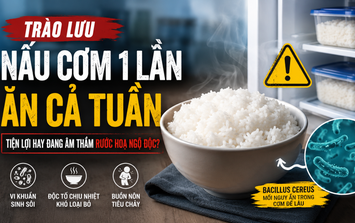 Thói quen nấu cơm để tủ lạnh ăn dần: Tiện lợi nhưng tiềm ẩn rủi ro ít ai ngờ