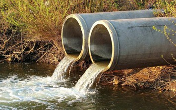 Gây ô nhiễm môi trường, 3 doanh nghiệp ở Hải Phòng bị xử phạt