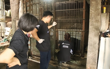 Giải cứu 3 cá thể gấu ngựa từ Thái Nguyên, Hà Nội