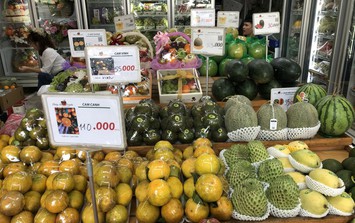Lãnh đạo 2 phường ở Hà Nội thừa nhận hạn chế trong hậu kiểm sau cấp phép kinh doanh thực phẩm