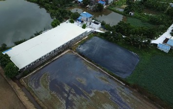 Vụ trang trại chăn nuôi rò rỉ nước thải ở Ninh Bình: Phó Chủ tịch UBND tỉnh chỉ đạo kiểm tra