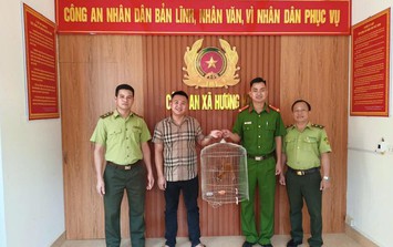 Người dân giao nộp cá thể cu li quý hiếm