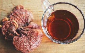 Cách sử dụng nấm linh chi đúng và an toàn