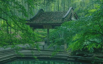 Tháng sinh Âm lịch của người có 'cái đầu lạnh': Gặp biến cố vẫn bình tĩnh biến nguy thành an