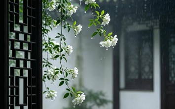 Số cuối ngày sinh Âm lịch của người trí tuệ, bản lĩnh, càng va vấp càng dễ bật lên