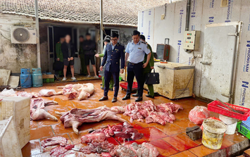 Hưng Yên: Điều tra vụ gần 1 tấn thịt lợn nhiễm dịch tả châu Phi, lợn bệnh 'suýt' đưa ra thị trường