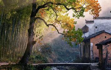 Giờ sinh Âm lịch của người được quý nhân nâng đỡ cuối năm, tiền bạc tràn về liên tục