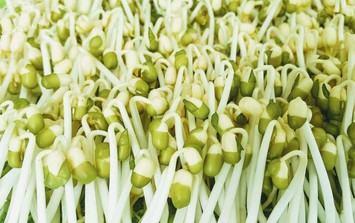 Loại rau bình dân dễ làm, ăn vào tốt cho sức khỏe, đặc biệt ngăn ngừa đột quỵ và bệnh tim mạch