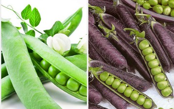 Loại thực phẩm giúp nhuận tràng, ngăn ngừa táo bón