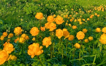 Số cuối ngày sinh Âm lịch của người có thành công đến muộn nhưng bền