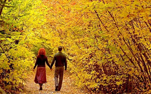 Thâm cung bí sử (69 - 2): Hai mùa của người cao tuổi