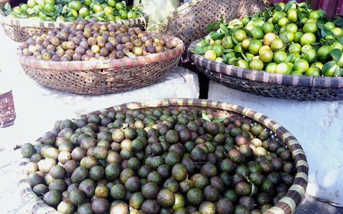Sấu xanh trẩy muộn giá 45.000 đồng/kg đắt khách