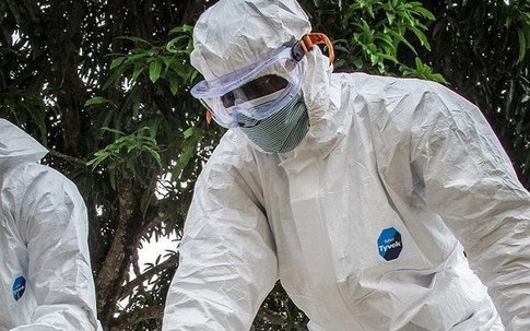 WHO: Số ca nhiễm virus Ebola đã vượt quá 10.000 người