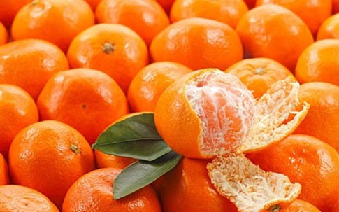 Những loại quả gây hại cho sức khỏe nếu lạm dụng