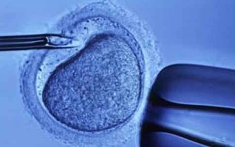 Sinh con từ trứng đông lạnh 12 năm