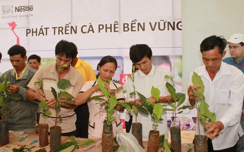 Gia tăng số lượng nông dân Việt sản xuất cà phê bền vững