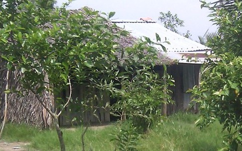 Bi kịch chuyện em gái thay chị làm dâu
