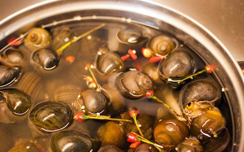 Mẹo làm sạch ốc, nghêu, sò