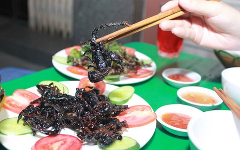 Sinh viên mở quán nhậu côn trùng vỉa hè giá rẻ ở Hà Nội