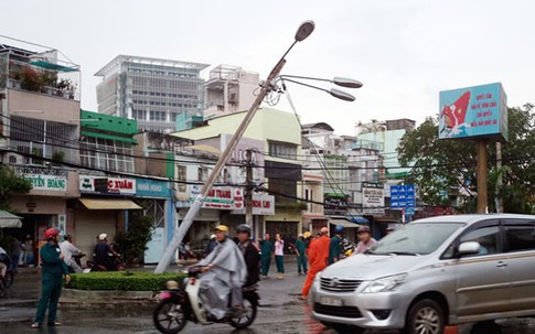 TP.HCM: Cây đè nát nhiều xe máy trong nhà hát