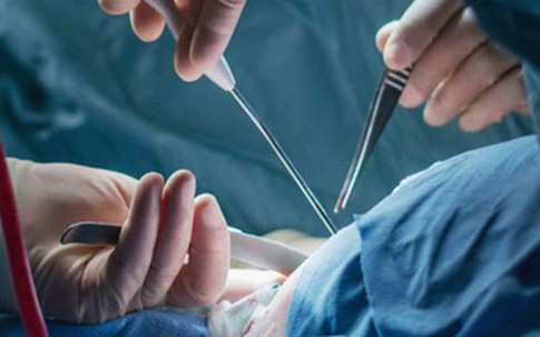 “Cô chàng” Việt kiều Úc thoát tội dâm ô nhờ xài... “đồ dỏm”