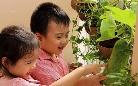 Giáo dục sớm - Một cách học mà chơi lý thú