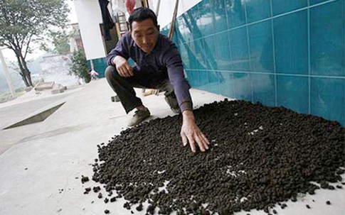 Những kiểu chữa bệnh… “chết người”