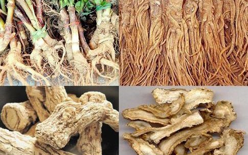 Giải mã sự thật về công dụng thần diệu của loại thảo dược giúp quý bà thổi bùng lửa ái ân