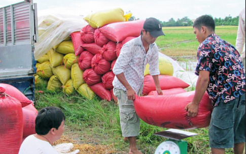 Phía sau nỗi đau mang tên “tự phát”