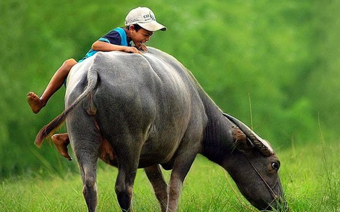 Thâm cung bí sử (70 - 1): Nước mắt đại gia