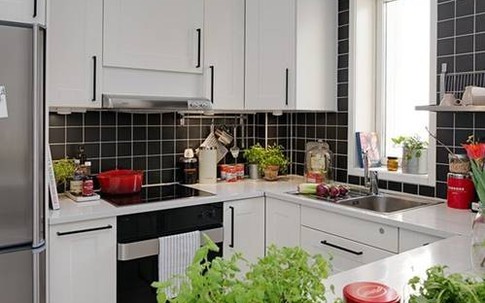 Những lưu ý trồng cây trong nhà bếp